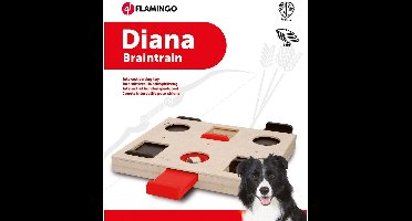 Wooden Brain Train Diana - Hout - 29.5 x 26 x 4.5 cm