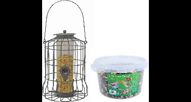Vogel voedersilo voor kleine vogels metaal grijs 36 cm inclusief 4-seizoenen energy vogelvoer - Vogel voederstation