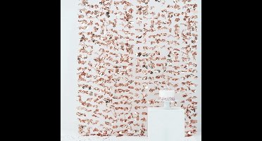 Ginger Ray - Gordijn Rose Goud