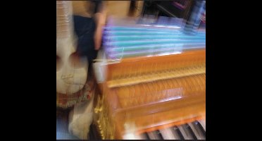 Pelt - Dauphin Elegies (CD)