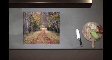 Inductieplaat Beschermer - Bospad in een Bos in Nederland - 58x52 cm - 2 mm Dik - Inductie Beschermer - Bescherming Inductiekookplaat - Kookplaat Beschermer van Zwart Vinyl