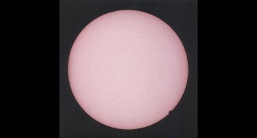 Collection Of Rarities