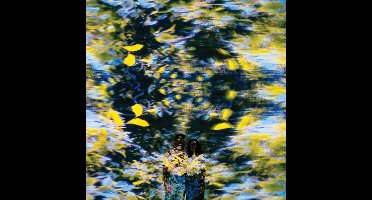 Chaton Laveur - Labyrinthe (LP) (Coloured Vinyl)