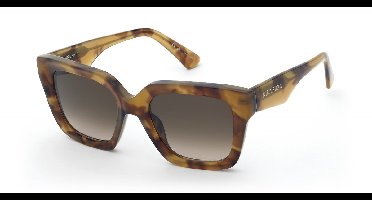 Nina Ricci SNR458 Avana miele lucida 52/20/145 WOMAN Zonnebrillen