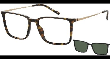 Pierre Cardin P.C. 6290/C Black havana 57/17/150 MAN Brilmonturen