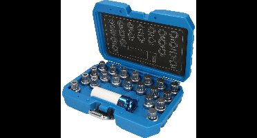 BRILLIANT TOOLS Velgbeveiliging set voor BMW 21 stuks - BT691230
