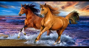 Paarden strandlaken rennend op het strand 70 x 140 cm