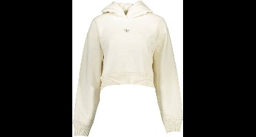 CALVIN KLEIN Trend - Hoodie - Lange mouw - Capuchon - Applicatie & Contrasterende details & Logo