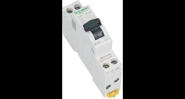Schneider Electric Acti 9 Stroomonderbreker - A9P54620 - E2YXA