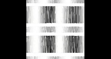 Eclipse Gravity wit/zwart behang (vliesbehang, zwart)