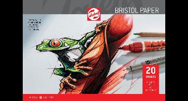 Talens Bristol papier, 250 g, ft 29,7 x 42 cm, A3, blok van 20 vel 3 stuks
