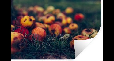Muurstickers - Sticker Folie - Landelijke decoratie - Herfst - Appel - Fruit - 30x20 cm - Plakfolie - Muurstickers Kinderkamer - Zelfklevend Behang - Zelfklevend behangpapier - Stickerfolie