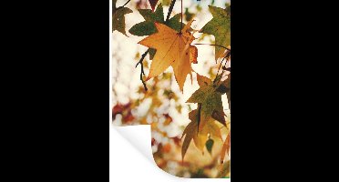 Muurstickers - Sticker Folie - Natuur - Herfstbladeren - Landelijk - 20x30 cm - Plakfolie - Muurstickers Kinderkamer - Zelfklevend Behang - Zelfklevend behangpapier - Stickerfolie