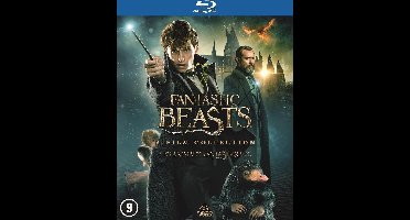 Fantastic Beasts 1 - 3 (Blu-ray)
