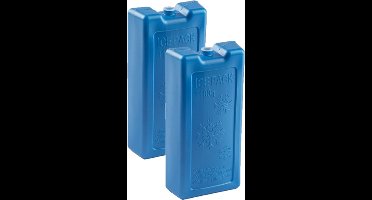 2x stuks 1100 grams koelelementen 22 x 11.5 x 5 cm kobalt blauw kunststof met sneeuwvlokken prints