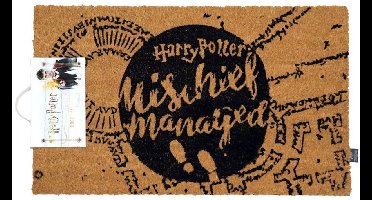 Harry Potter Mischief Managed Unisex Deurmat - meerkleurig - Standard