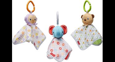 Fisher Price Peek A Boo Knuffeldoekje Assorti