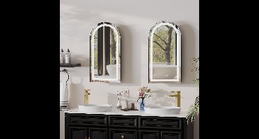 Badkamerspiegelkast – Spiegelkast – Medicijnkast – Wandkast – Opbergkast – Boogvormig – Verstelbare Legplanken – Zwart Met Stalen Frame