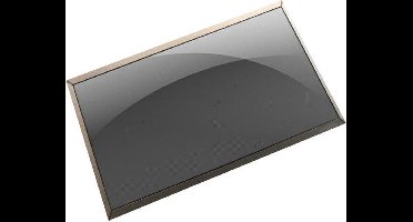 15.6 Inch LCD Scherm 1920x1080 Mat 30Pin eDP, IPS