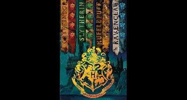Harry Potter House Flags Poster 61x91.5cm