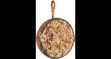 Flamingo Gevulde Halve Kokosnoot Meelwormen