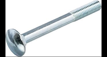 Slotbout - M6 x 140 mm - DIN603/555 - Verzinkt (100 stuks)