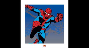 Marvel Poster - Pyramid Spider-man - 40 X 40 Cm - Multicolor