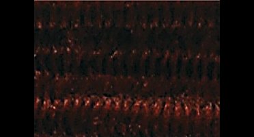 Chenilledraad Folia 50cm lang - 10 stuks chocobruin