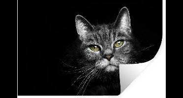 Muurstickers - Sticker Folie - Huisdieren - Kat - Dieren - Zwart - Wit - 30x20 cm - Plakfolie - Muurstickers Kinderkamer - Zelfklevend Behang - Zelfklevend behangpapier - Stickerfolie