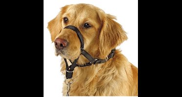 Kerbl Training Harnas Maxi Coach zwart <38CM