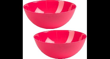 Plasticforte voedsel Serveerschaal - 2x - D25 x H10 cm - kunststof - roze - 2,5 liter - voor gerechten - chips - broodjes