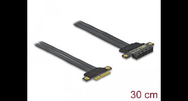 DeLOCK 85768 interfacekaart/-adapter Intern PCIe