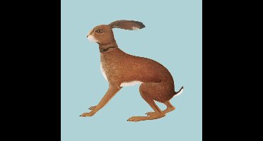 Vashti Bunyan - Lookaftering - Expanded Edition (2 CD)