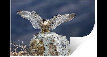 Muurstickers - Sticker Folie - Selchtvalk - Vleugels - Stenen - 30x20 cm - Plakfolie - Muurstickers Kinderkamer - Zelfklevend Behang - Zelfklevend behangpapier - Stickerfolie