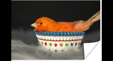 Poster Vogel - Cupcake vormpjes - Portret - 30x20 cm