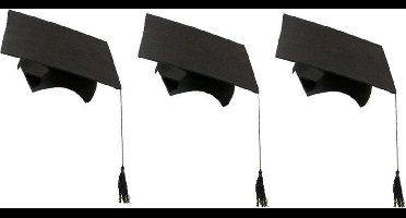 30x stuks 2-delige afstudeer hoeden geslaagd zwart met kwast voor volwassenen - Examen diploma uitreiking feestartikelen