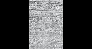 Rugsman Osaka 013.025.5171 Vloerkleed - 240 x 340 cm - Grijs - Rechthoekig - Polyester - Woonkamer - Geometrisch - Shaggy - Hoogpolig