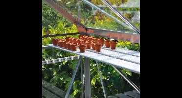 ROYAL WELL Alu Sower 200 X 32,5 cm, blank