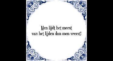 Tegeltje met Spreuk (Tegeltjeswijsheid): Men lijdt het meest van het lijden dan men vreest! + Kado verpakking & Plakhanger