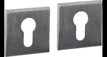 Intersteel Cilinderrozetten verdekt 53x53x6mm rvs