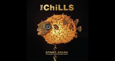 Chills - Spring Board: The Early Recordings (CD)
