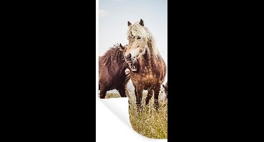 Muurstickers - Sticker Folie - Paarden - Gras - Lente - 20x40 cm - Plakfolie - Muurstickers Kinderkamer - Zelfklevend Behang - Zelfklevend behangpapier - Stickerfolie