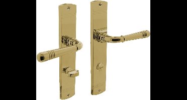 INTERSTEEL Deurkruk 1705 Emily op langschild WC78/8mm messing gelakt