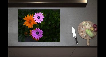 Inductieplaat Beschermer - Bovenaanzicht van Roze en Oranje Spaanse Margietjes Bloemen in de Struiken - 71x55 cm - 2 mm Dik - Inductie Beschermer - Bescherming Inductiekookplaat - Kookplaat Beschermer van Wit Vinyl