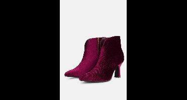 POSH by Poelman Enkellaarsjes bordeaux Textiel - Maat 39