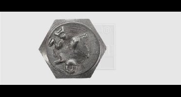 SWG Zeskantbouten M6 30 mm Buitenzeskant DIN 933 RVS A2 40 stuk(s)