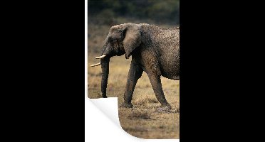 Muurstickers - Sticker Folie - Olifant - Dieren - Savanne - Natuur - 20x30 cm - Plakfolie - Muurstickers Kinderkamer - Zelfklevend Behang - Zelfklevend behangpapier - Stickerfolie