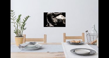 Muurstickers - Sticker Folie - Olifant - Zwart - Dieren - Portret - 30x20 cm - Plakfolie - Muurstickers Kinderkamer - Zelfklevend Behang - Zelfklevend behangpapier - Stickerfolie