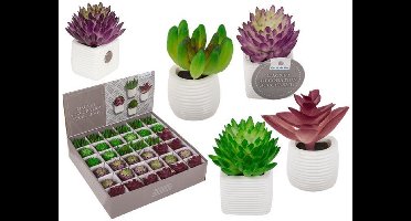 OOTB magneet vetplant decoratie in pot 3x5cm - kunstplant.