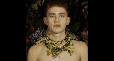 Palo Santo (Deluxe)